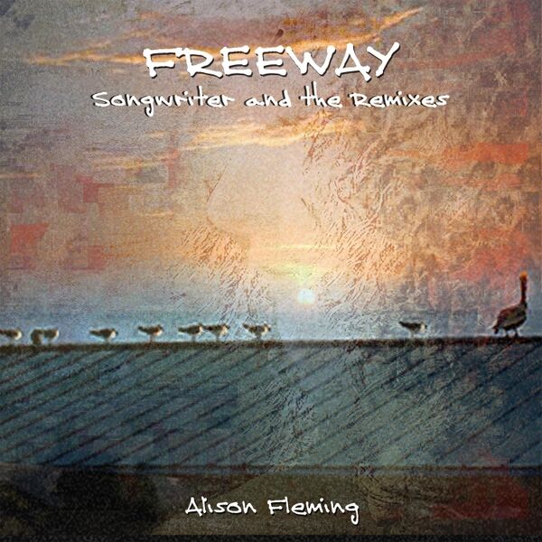 Cover art for Freeway (Songwriter and the Remixes)